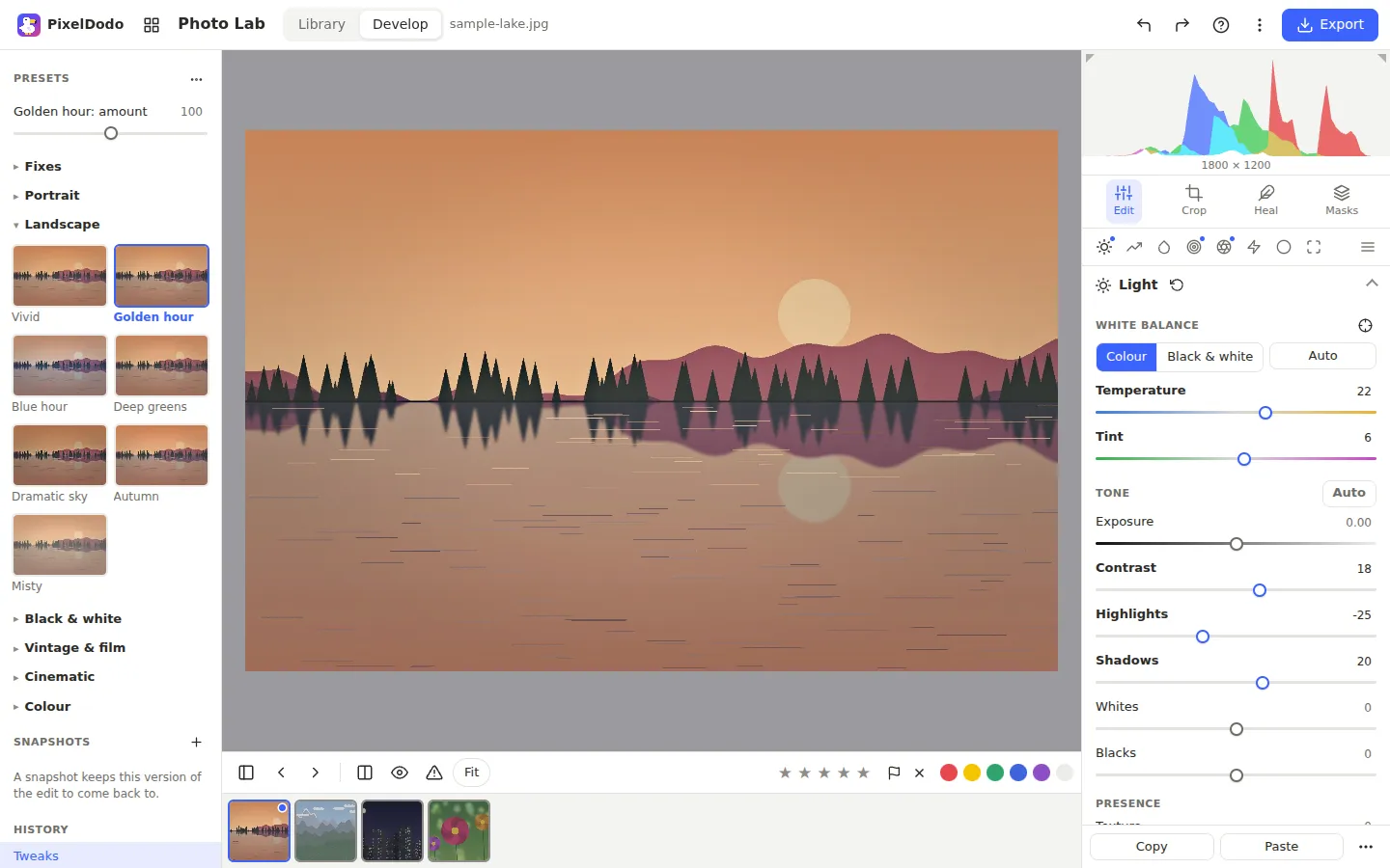 The Photo Lab editor